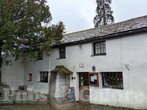 Picture of Yew Tree