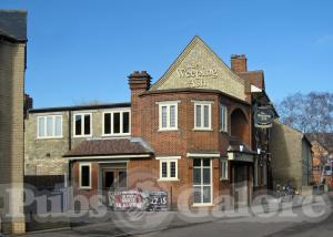 Picture of The Weeping Ash (JD Wetherspoon)