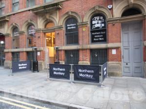 Picture of The Northern Monkey