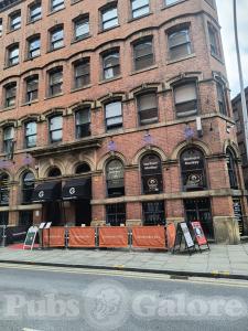 Picture of The Northern Monkey