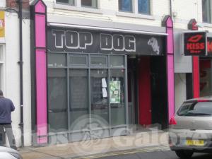 Picture of Top Dog