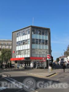 Picture of Golden Lion