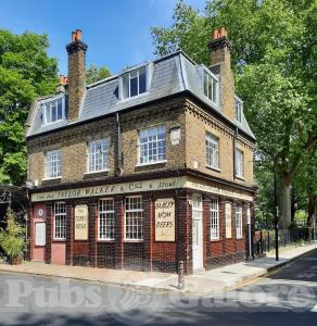 Picture of The Turk's Head