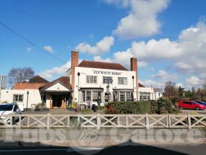Picture of Old White Horse