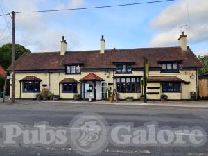 Picture of The Bull's Head