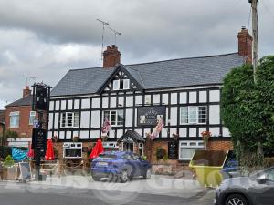 Picture of White Lion