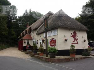 Picture of The Red Lion