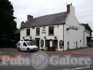 Picture of The Grey Horse