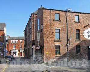 Picture of Yew Tree