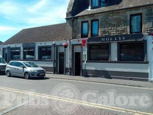 Picture of Molly's