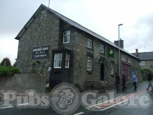 Picture of The Golden Lion