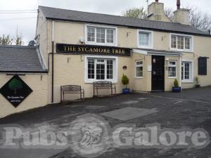 Picture of The Sycamore Tree Inn