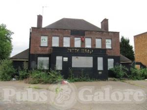 Picture of The Pitts Head
