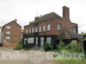 Picture of The Pitts Head