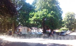 Picture of The Canford