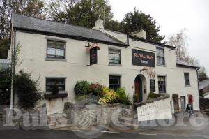 Picture of Royal Oak