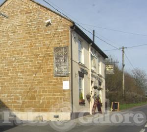 Picture of The Golden Fleece