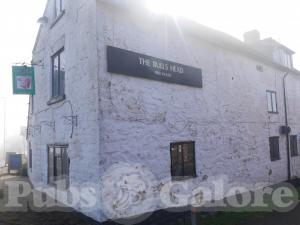 Picture of Bulls Head
