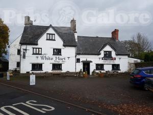 Picture of The White Hart Village Inn