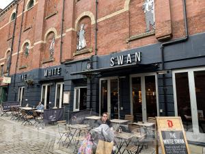 Picture of The White Swan