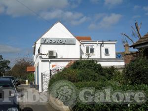 Picture of Golden Lion