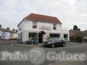 Picture of Golden Lion