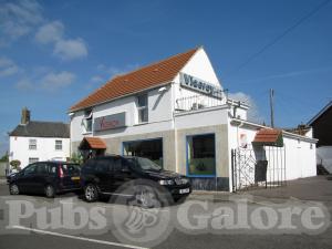 Picture of Golden Lion