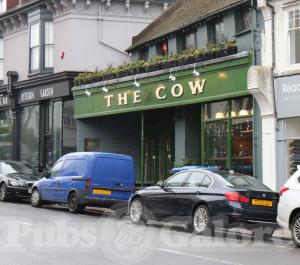 Picture of The Cow