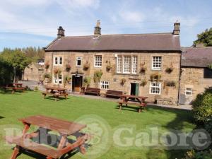 Picture of Three Stags Heads