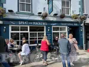 Picture of Sprat & Mackerel