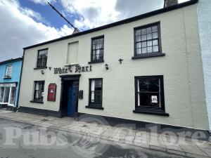 Picture of The White Hart
