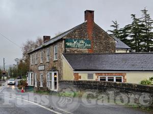 Picture of The White Hart Inn