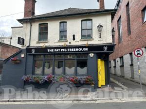 Picture of The Fat Pig