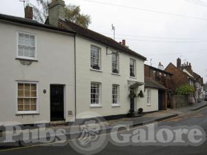 Picture of Royal Oak