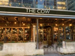 Picture of The Cow