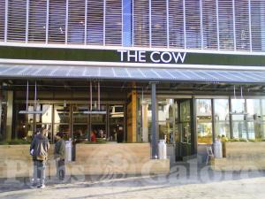 Picture of The Cow