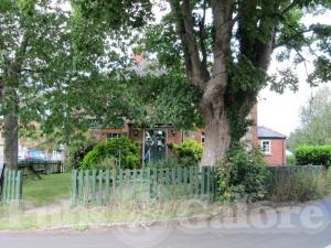 Picture of The Oak