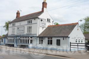Picture of The Lime Tree