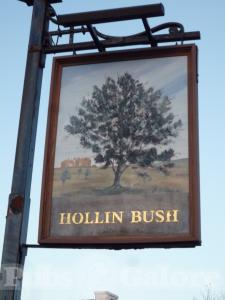 Picture of Hollin Bush