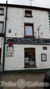 Picture of The Ivy Bush Inn