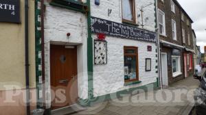 Picture of The Ivy Bush Inn