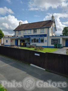 Picture of Black Boy