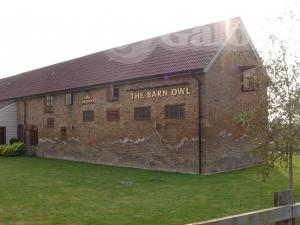 Picture of The Barn Owl