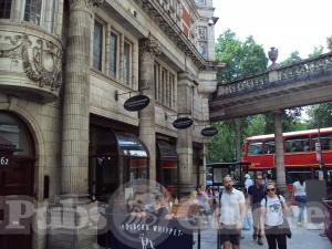 Picture of Holborn Whippet