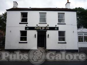 Picture of Fleur de Lys