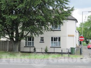 Picture of The Elm Tree