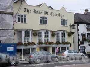 Picture of The Rose of Torridge