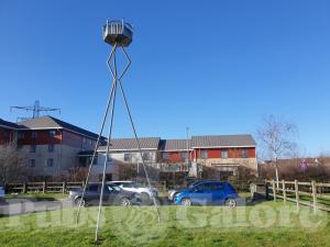 Picture of Beefeater The Beacon