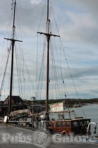 Picture of Albatros