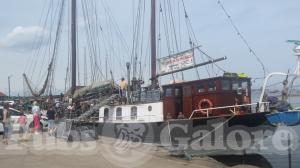 Picture of Albatros